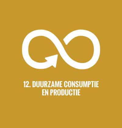Duurzame consumptie en productie